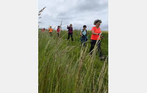 Semaine marche nordique du 9 mars 2026